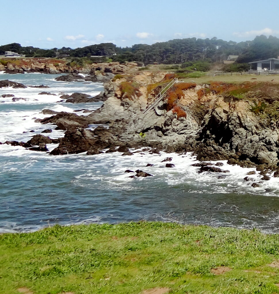 Mendocino Botanical Garden