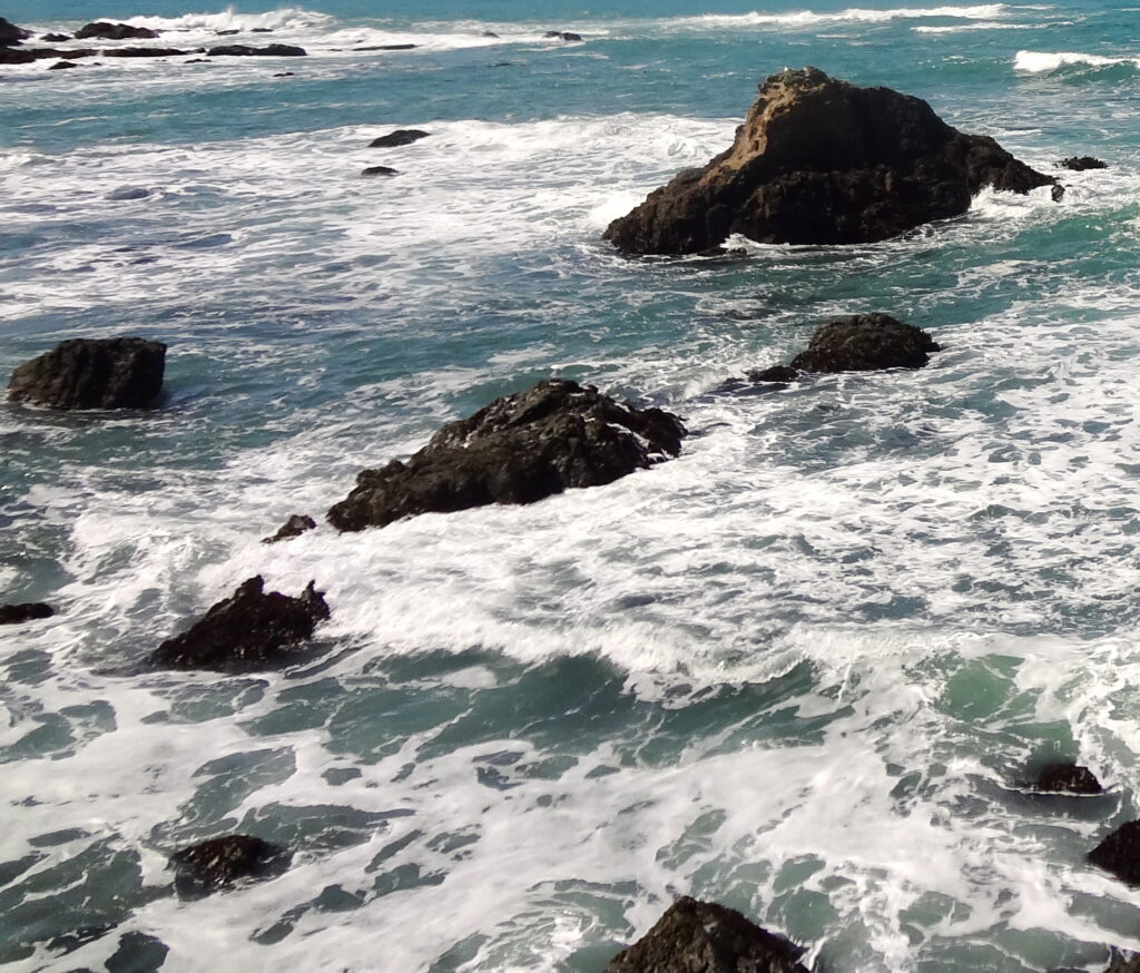 Mendocino Botanical Garden