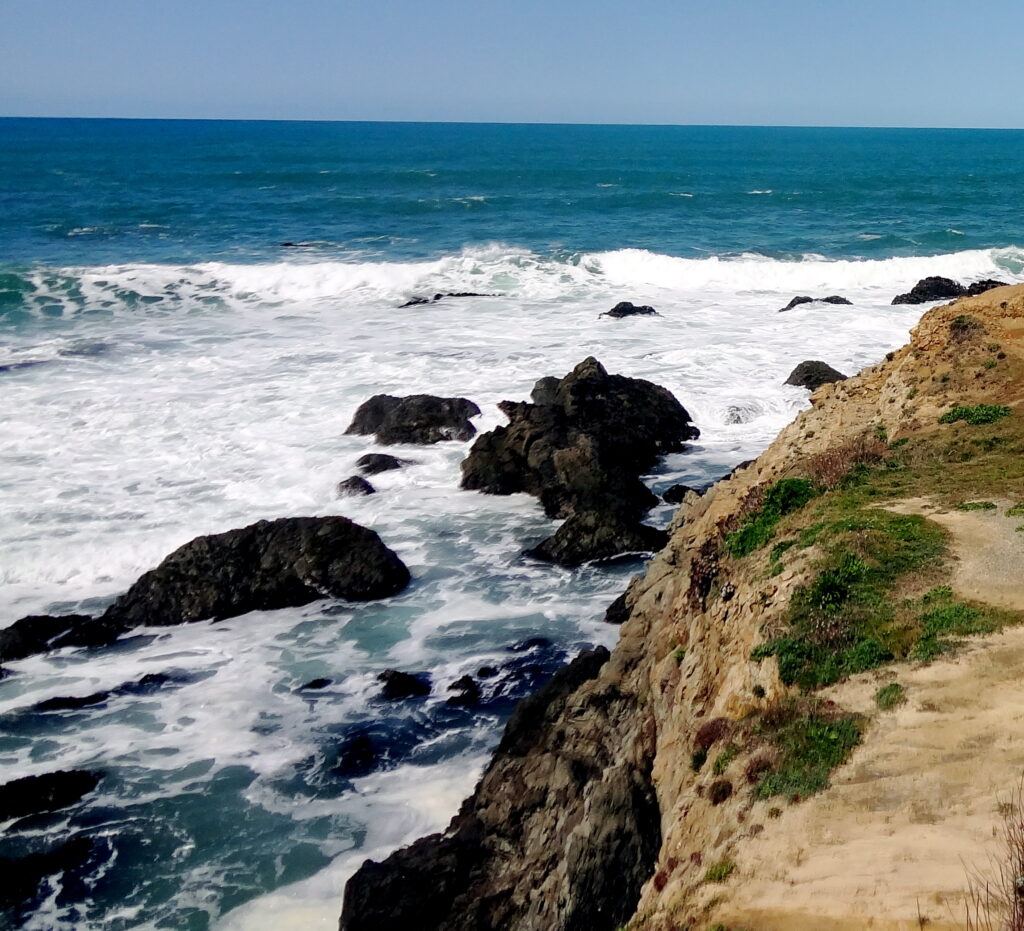 Mendocino Botanical Garden