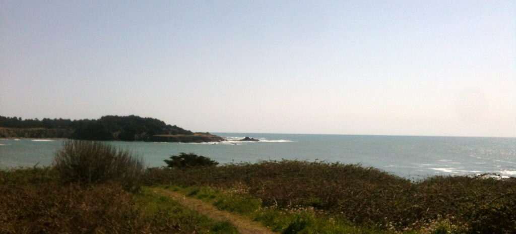 Thank you Sydnee & Ken! Thank you Sydnee & Ken!