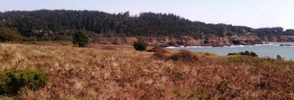 I hear this is where they grow some of the finest weed in the world. I hear this is where they grow some of the finest weed in the world.